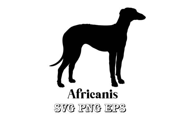Africanis Dog Silhouette Breeds Vector