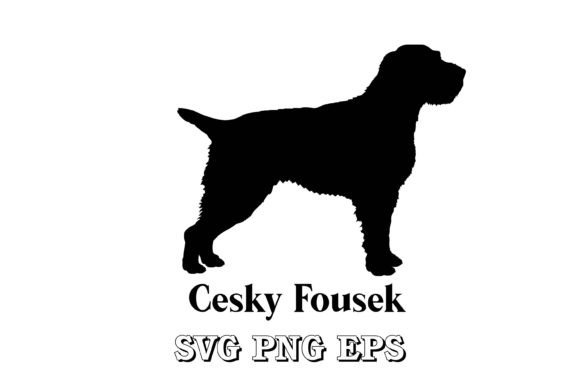 Cesky Fousek Dog Silhouette