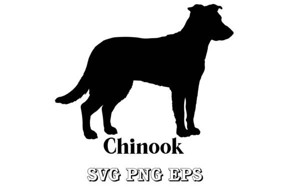 Chinook Dog Silhouette Vector