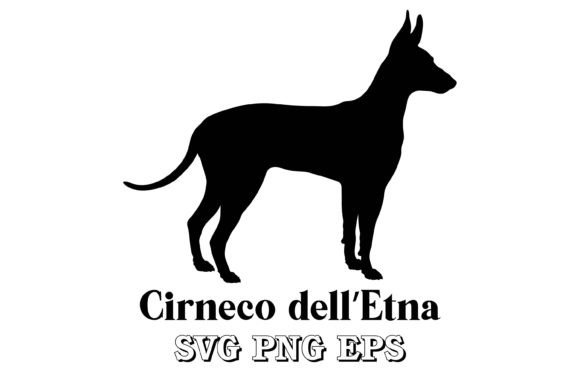 Cirneco Dell’Etna Dog Silhouette
