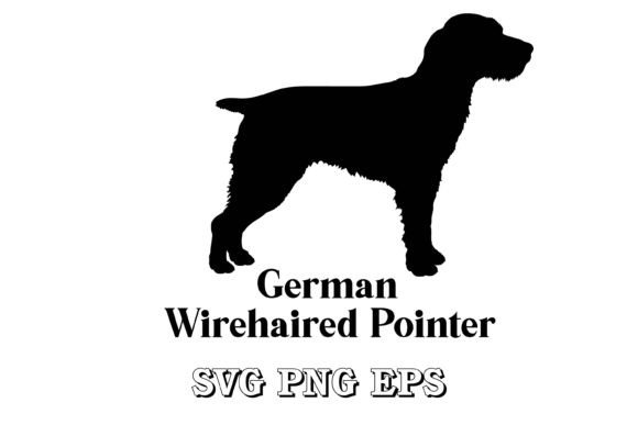 German Wirehaired Pointer
